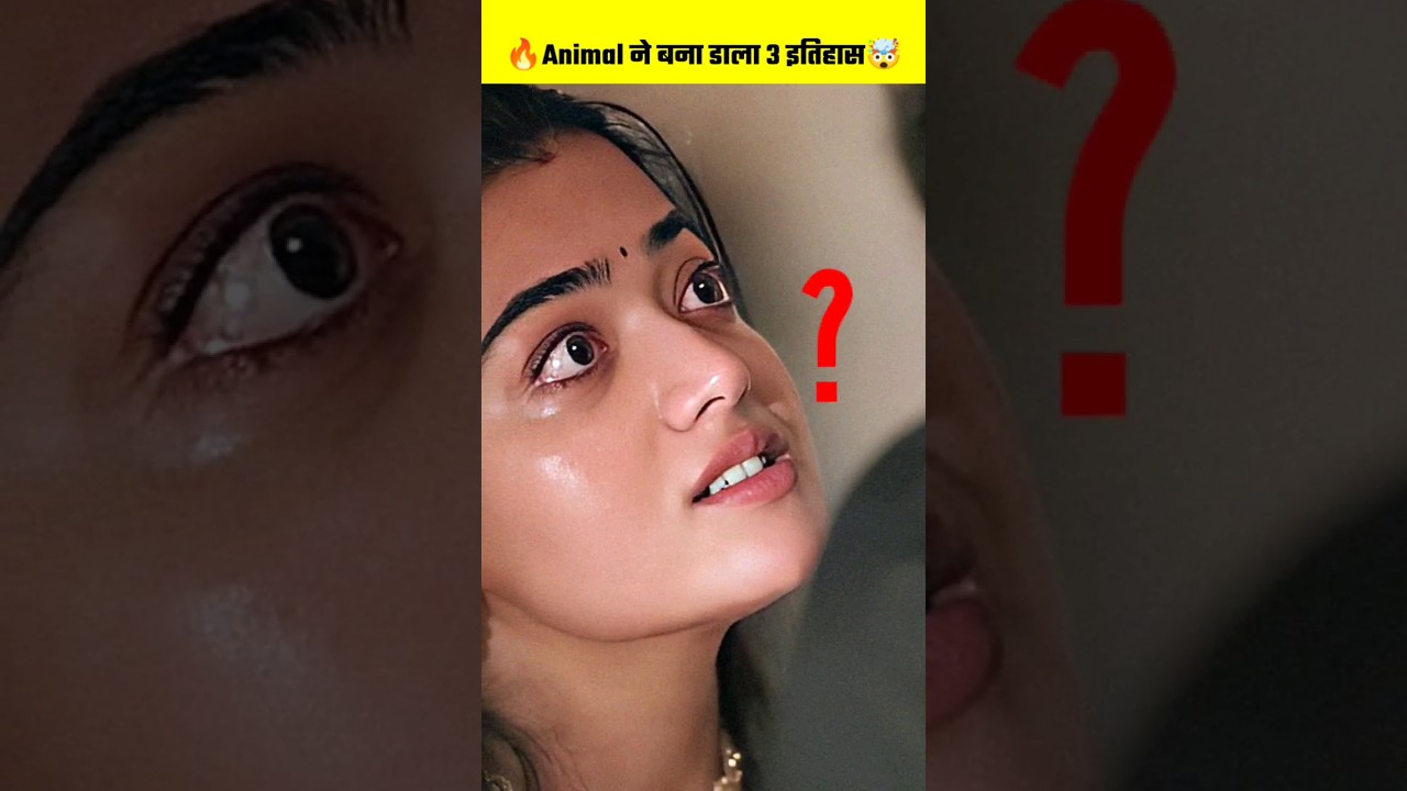 Animal Hit Or Flop Record | Animal Box Office Collection | Animal Movie Review | 