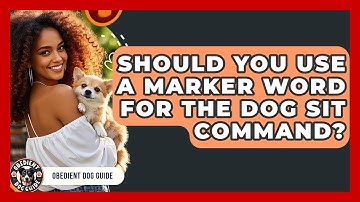 Should You Use A Marker Word For The Dog Sit Command? - Obedient Dog Guide