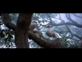 Jonathan Livingston Seagull 1 