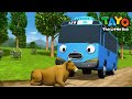Tayo English Episodes l Tayo meets a huge cow on the road! l Tayo the Little Bus