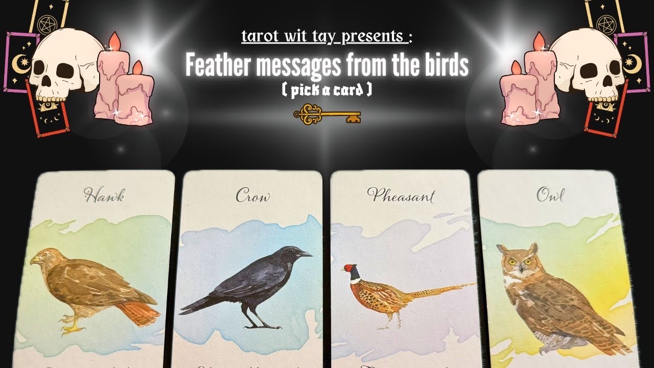Выберите карту 🪶 послания от птиц