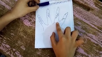استراتيجية اخفض يدك فى حلقات القرآن الكريم