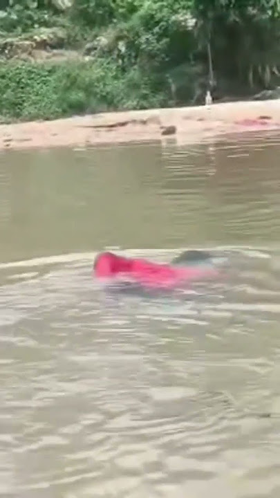 https://youtu.be/WLr60qgoohI?si=5O39Jfi3l3HGnp_w