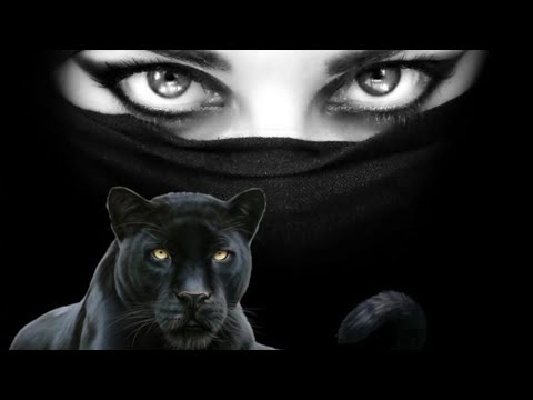 ڪلمه يا خساࢪه ڪلمه غشيمه ولاد ناقصه العيب لو من معيوب طلع يتبلع ريشاكوستا سماره ناو