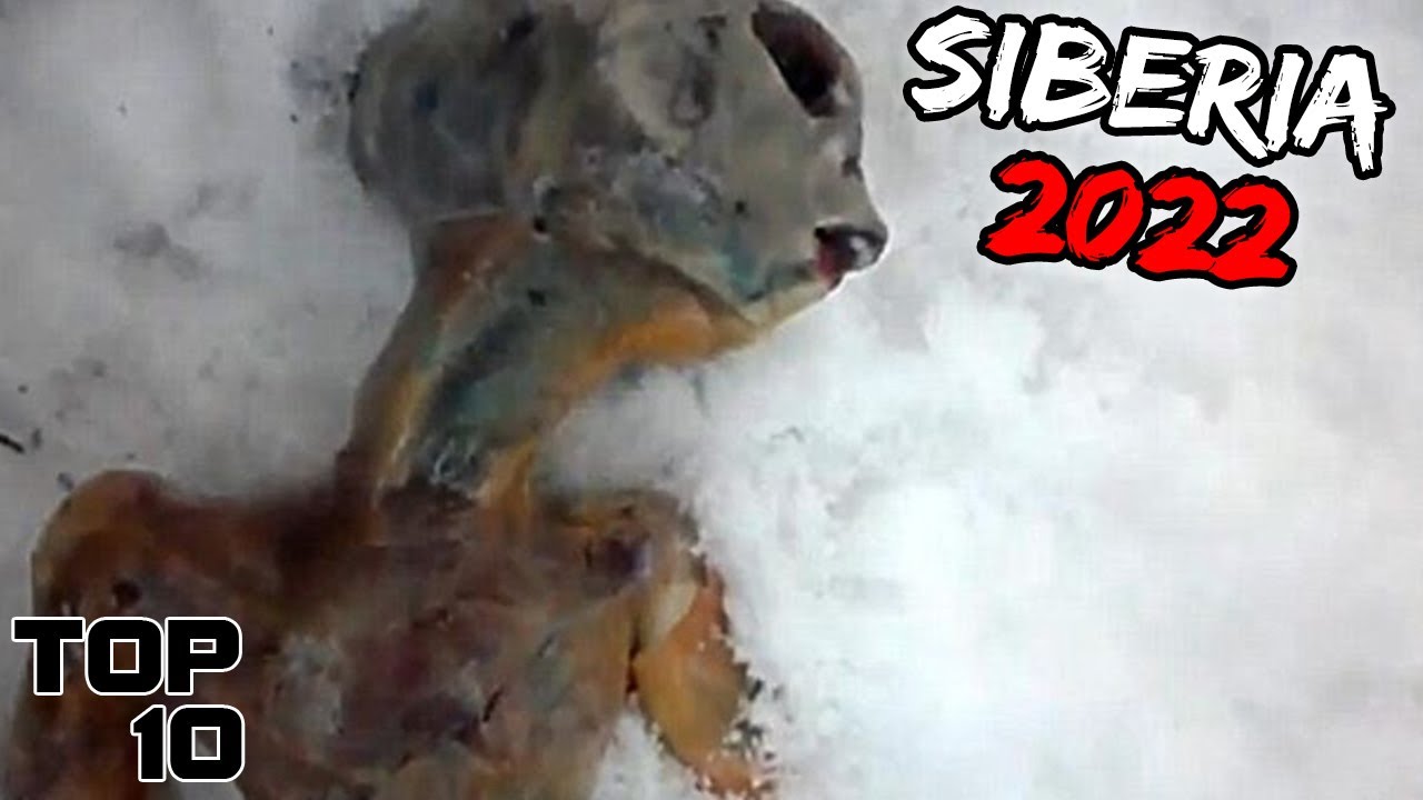 Top 10 Signs Of Alien Life Found Frozen In Ice