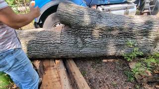 LOG LOADER SAVES THE DAY