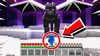 Fighting The Enderdragon As A Tiny Player