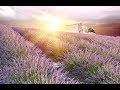 Gambar cover GOOD MORNING | Boost Positive Energy | 528Hz  Wake Up - A Beautiful Day  - A Magical day