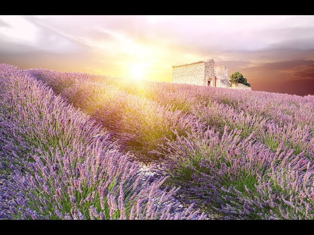 Ambiente - Morning Music