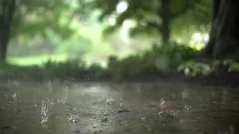 سورة الواقعة تلاوة خاشعة للشيخ محمد المحيسني