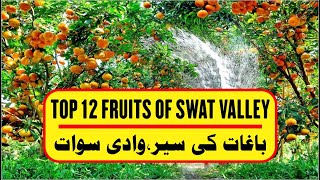 Top 12 Fruits of Swat Valley | Swat Valley Tourism | Switzerland of the East | Azmaray | screenshot 2