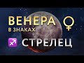 Венера в Стрельце. Астролог Алла Суходольская