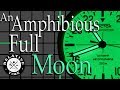 An Amphibious Full Moon : 24 Hour Vostok Amphibia Review (Special Edition 420B06SW1) Ghost