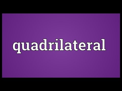 Quadrilateral Meaning