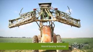 Olam Onions - Our Egypt business Olam Onions - Our Egypt business