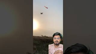 Kabuter Patang Lakar De Diya 😲 #pigeon #reaction #shorts #short #skpigeonloft