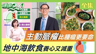 台積電元老劉啟光 主動脈瘤破裂猝逝地中海飲食 護心 減重 這樣吃 健康2.0 20210227 (完整版)