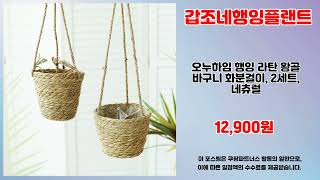갑조네행잉플랜트 추천 | 쇼핑의 달인들이 선택한 초특가 | 핫딜 쇼핑 리스트   | 추천 랭킹