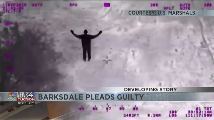 Susan Barksdale pleads guilty to manslaughter in m...