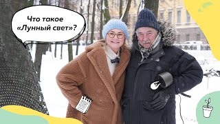 Ландшафтное освещение | Освещение в саду | Ландшафтный свет | 