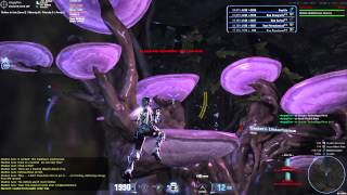 Firefall - BWA 11 Minute 1 Second Solo Run
