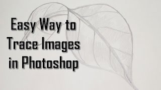 Easy Way to Trace Hand Drawn Images in Photoshop