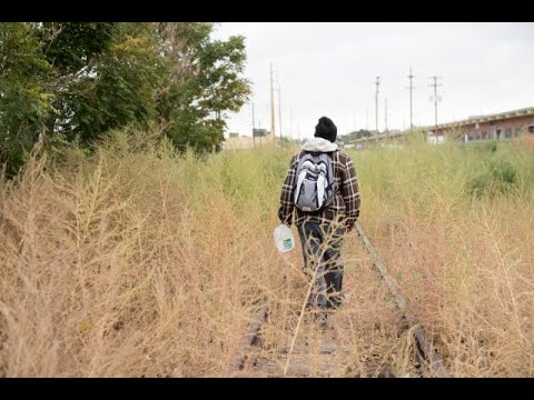 （歌謡曲）旅人よ　歌：向井智子