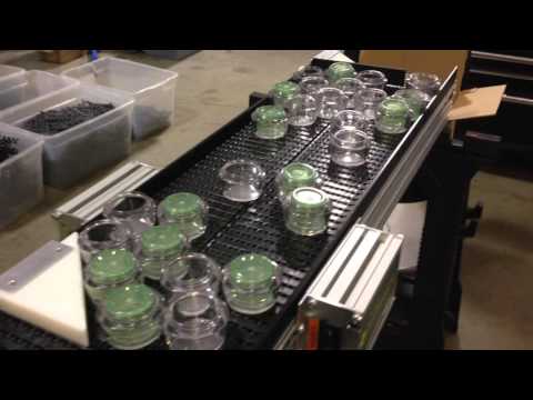 Dual Path Single File Accumulating Anti Log Jam Conveyor