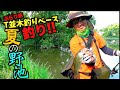 【T並木釣り旅】ファンの皆様と一緒に夏の野池でバス釣りして遊んでみた！