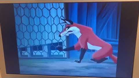 "Animal Age" Part 16 - The Foxes