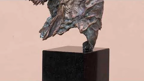Stefan Polak       QUASIMODO        gallerypolak