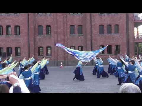 【公式】東京理科大学Yosakoiソーラン部 22年度演舞『想空唄』| 2022 横浜よさこい / 赤レンガ会場