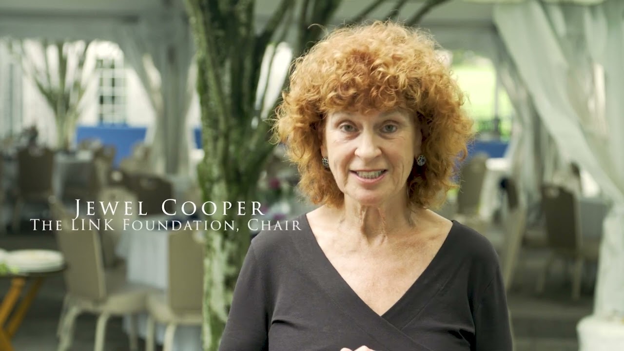 The Link Foundation Golf Promo 30