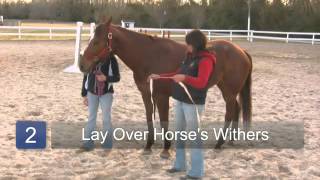 How to Use a Measuring Tape to Weigh a Horse