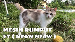 Mesin rumput ft (meow meow)