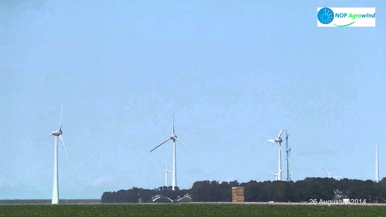 2014 08 26 Windmolens langs Noordermeerdijk