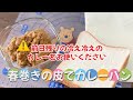 簡単春巻きの皮レシピカレーパン