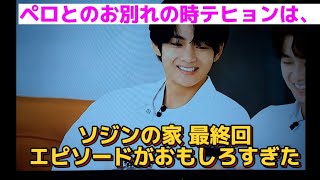 BTS V ソジンの家 最終回 愛犬家のテヒョンのレスキュー