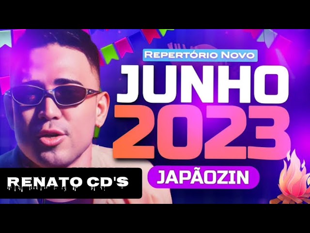 JAPÃOZIN - CD NOVO 2023 - CD ARRAÍA PRA PAREDÃO vol.2 {RENATO CD'S} class=