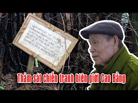 Video: Địa Vị Xã Hội 