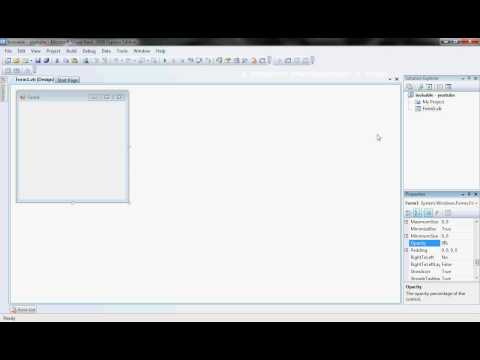 vb2008 hide form completely