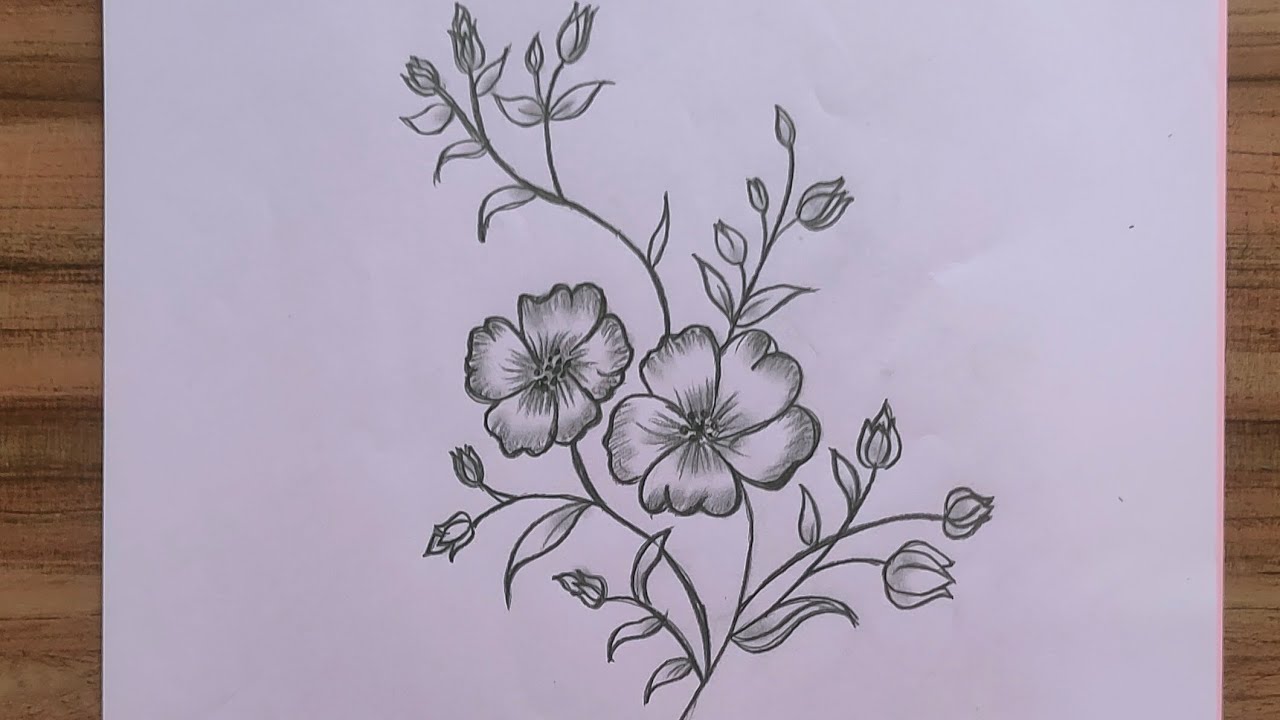 Flower drawing๐บbeautiful flower drawing tutorial ๏ธpencil drawing ๏ธHow ...