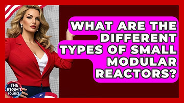 What Are The Different Types Of Small Modular Reactors? - The Right Politics