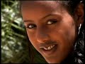Haacaaluu Hundeessaa   Sanyii Mootii (Oromo Music) Mp3 Song