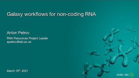 Analysing ncRNAs in RNA-seq datasets using Galaxy and RNAcentral