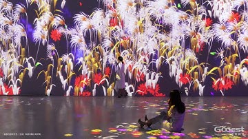 Gooest Produced Interactive Projection Installation -- Flower Sea -- Part 6