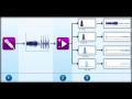 Implants cochlaires  traitement du signal s blatrix b chaix