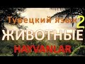 Турецкий словарь онлайн. Животные. Hayvanlar. Часть 2