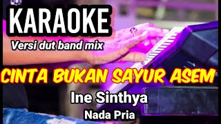 CINTA BUKAN SAYUR ASEM - Ine Sinthya | Karaoke dut band mix nada pria | Lirik