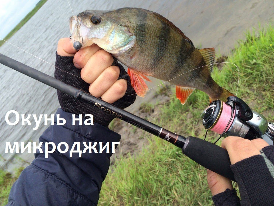 Микроджиг на оке